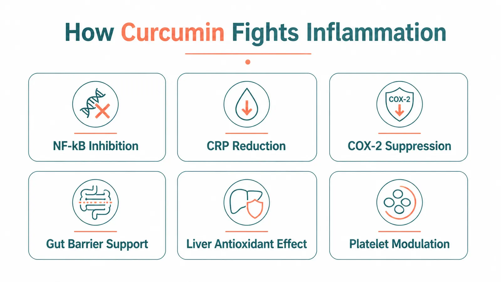 Infographic showing curcumin anti-inflammatory mechanisms including NF-kB inhibition, CRP reduction, and COX-2 suppression